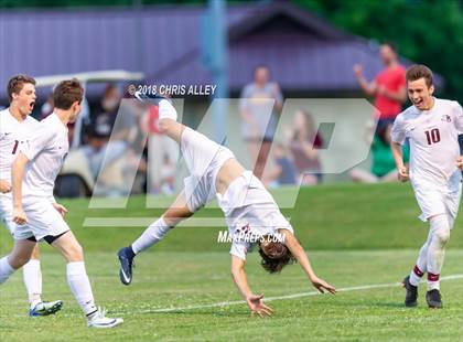 Thumbnail 3 in Dobyns-Bennett vs. West (TSSAA Region 1-AAA Semifinal) photogallery.