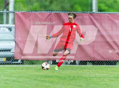 Thumbnail 1 in Dobyns-Bennett vs. West (TSSAA Region 1-AAA Semifinal) photogallery.