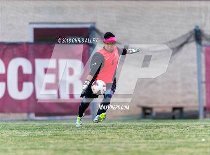 Thumbnail 3 in Dobyns-Bennett vs. West (TSSAA Region 1-AAA Semifinal) photogallery.