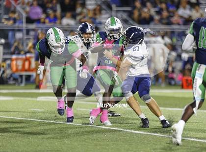 Thumbnail 1 in Alonso @ Sumner photogallery.