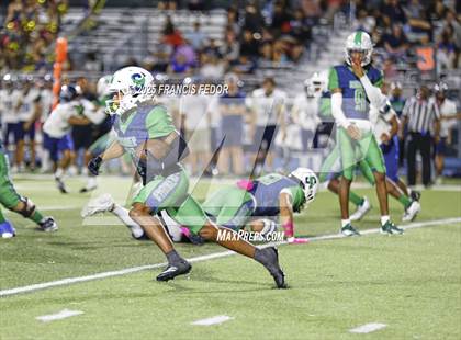 Thumbnail 1 in Alonso @ Sumner photogallery.