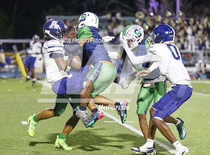 Thumbnail 1 in Alonso @ Sumner photogallery.