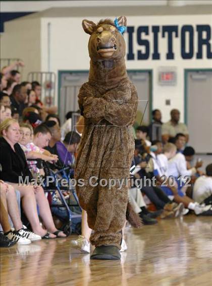 Thumbnail 2 in McNeil vs. Pflugerville photogallery.