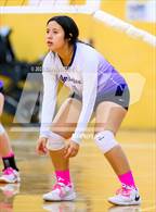 Photo from the gallery "Coral Academy of Science - Reno @ Yerington"