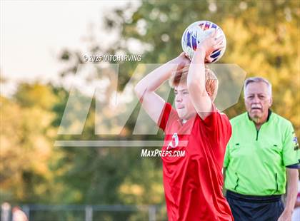 Thumbnail 2 in Herron @ Danville photogallery.