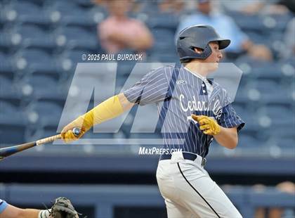 Thumbnail 2 in North Penn vs. Cedar Cliff (PIAA 6A Championship) photogallery.