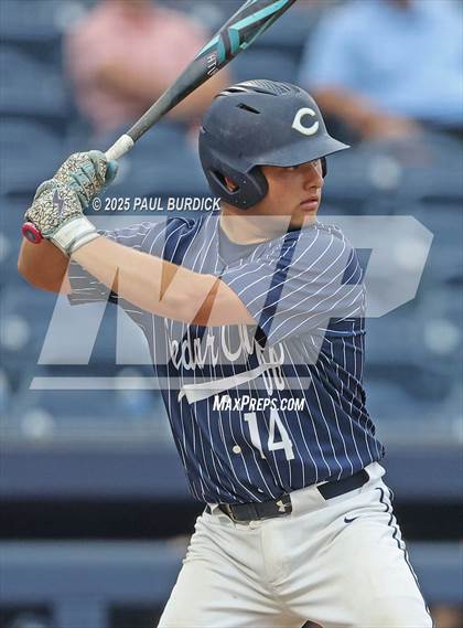 Thumbnail 1 in North Penn vs. Cedar Cliff (PIAA 6A Championship) photogallery.