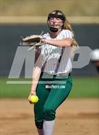 Photo from the gallery "Conifer @ D'Evelyn"
