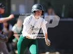 Photo from the gallery "Conifer @ D'Evelyn"
