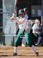 Photo from the gallery "Conifer @ D'Evelyn"