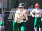 Photo from the gallery "Conifer @ D'Evelyn"