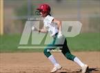 Photo from the gallery "Conifer @ D'Evelyn"