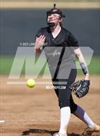 Photo from the gallery "Conifer @ D'Evelyn"