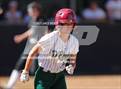 Photo from the gallery "Conifer @ D'Evelyn"