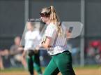 Photo from the gallery "Conifer @ D'Evelyn"