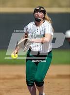 Photo from the gallery "Conifer @ D'Evelyn"