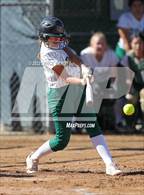 Photo from the gallery "Conifer @ D'Evelyn"