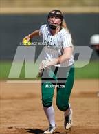 Photo from the gallery "Conifer @ D'Evelyn"