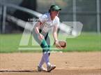 Photo from the gallery "Conifer @ D'Evelyn"