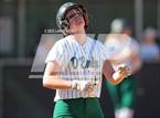Photo from the gallery "Conifer @ D'Evelyn"