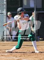 Photo from the gallery "Conifer @ D'Evelyn"