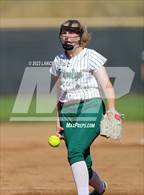 Photo from the gallery "Conifer @ D'Evelyn"