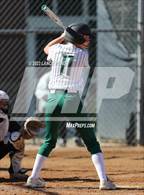 Photo from the gallery "Conifer @ D'Evelyn"