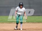 Photo from the gallery "Conifer @ D'Evelyn"
