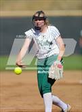 Photo from the gallery "Conifer @ D'Evelyn"