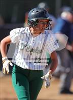 Photo from the gallery "Conifer @ D'Evelyn"