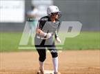Photo from the gallery "Conifer @ D'Evelyn"