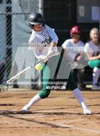 Photo from the gallery "Conifer @ D'Evelyn"