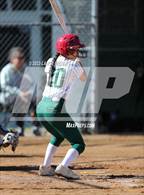 Photo from the gallery "Conifer @ D'Evelyn"