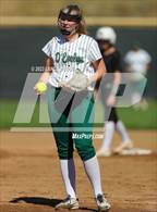 Photo from the gallery "Conifer @ D'Evelyn"