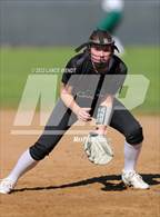 Photo from the gallery "Conifer @ D'Evelyn"