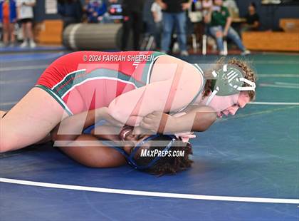 Thumbnail 3 in 2024 Tiger Classic - Finals photogallery.