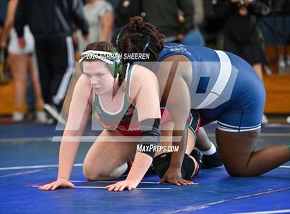 Thumbnail 1 in 2024 Tiger Classic - Finals photogallery.