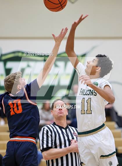 Thumbnail 1 in Mitchell @ Falcon photogallery.