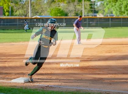 Thumbnail 1 in Pine Forest @ Terry Sanford photogallery.