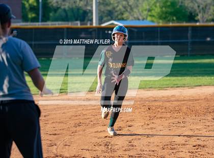 Thumbnail 2 in Pine Forest @ Terry Sanford photogallery.