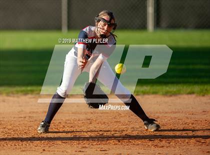Thumbnail 1 in Pine Forest @ Terry Sanford photogallery.