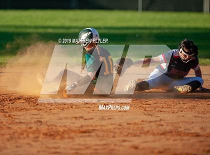 Thumbnail 3 in Pine Forest @ Terry Sanford photogallery.