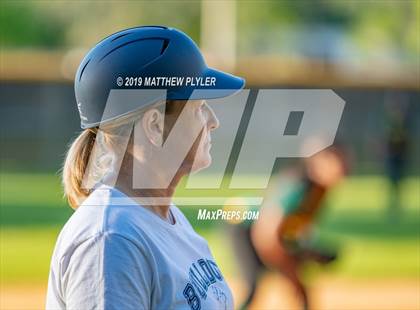 Thumbnail 3 in Pine Forest @ Terry Sanford photogallery.