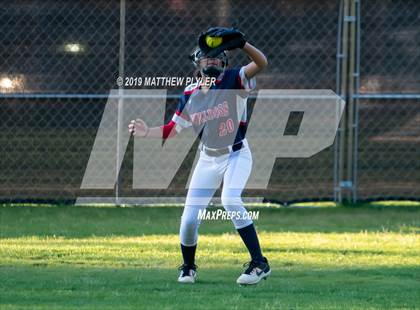 Thumbnail 3 in Pine Forest @ Terry Sanford photogallery.