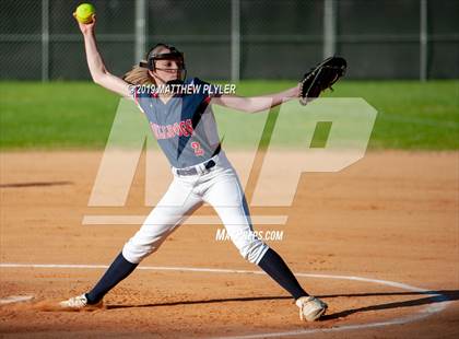 Thumbnail 1 in Pine Forest @ Terry Sanford photogallery.