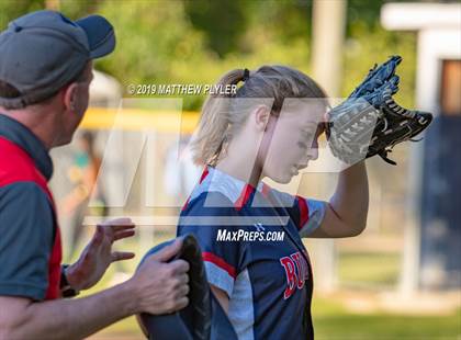 Thumbnail 1 in Pine Forest @ Terry Sanford photogallery.