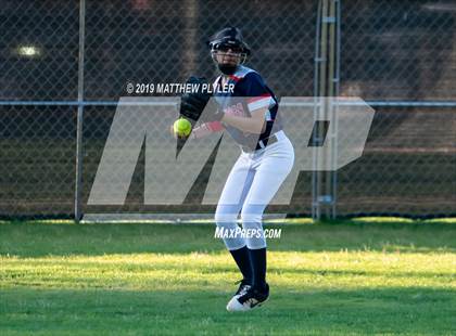 Thumbnail 1 in Pine Forest @ Terry Sanford photogallery.