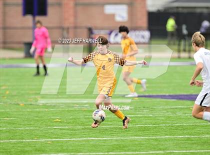 Thumbnail 2 in Walsh Jesuit vs. Aurora (OHSAA D1 District Final) photogallery.