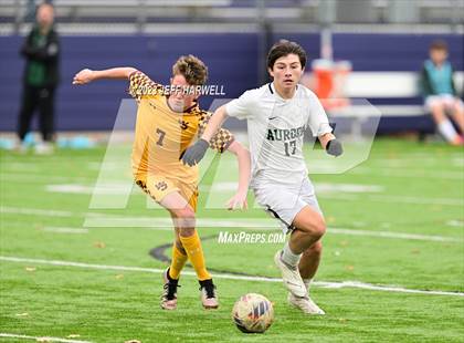 Thumbnail 2 in Walsh Jesuit vs. Aurora (OHSAA D1 District Final) photogallery.