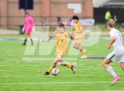 Thumbnail 3 in Walsh Jesuit vs. Aurora (OHSAA D1 District Final) photogallery.